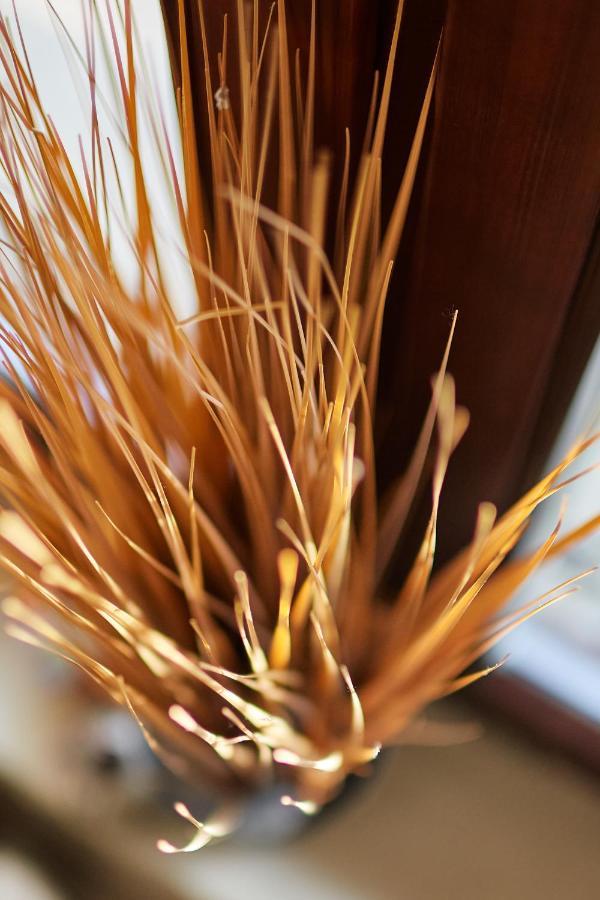 Tercia Hubertus Panzio Bed & Breakfast โชพรอน ภายนอก รูปภาพ