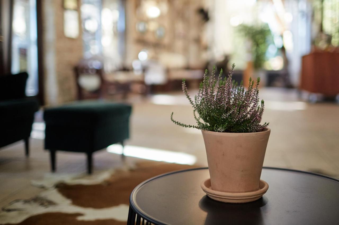 Tercia Hubertus Panzio Bed & Breakfast โชพรอน ภายนอก รูปภาพ