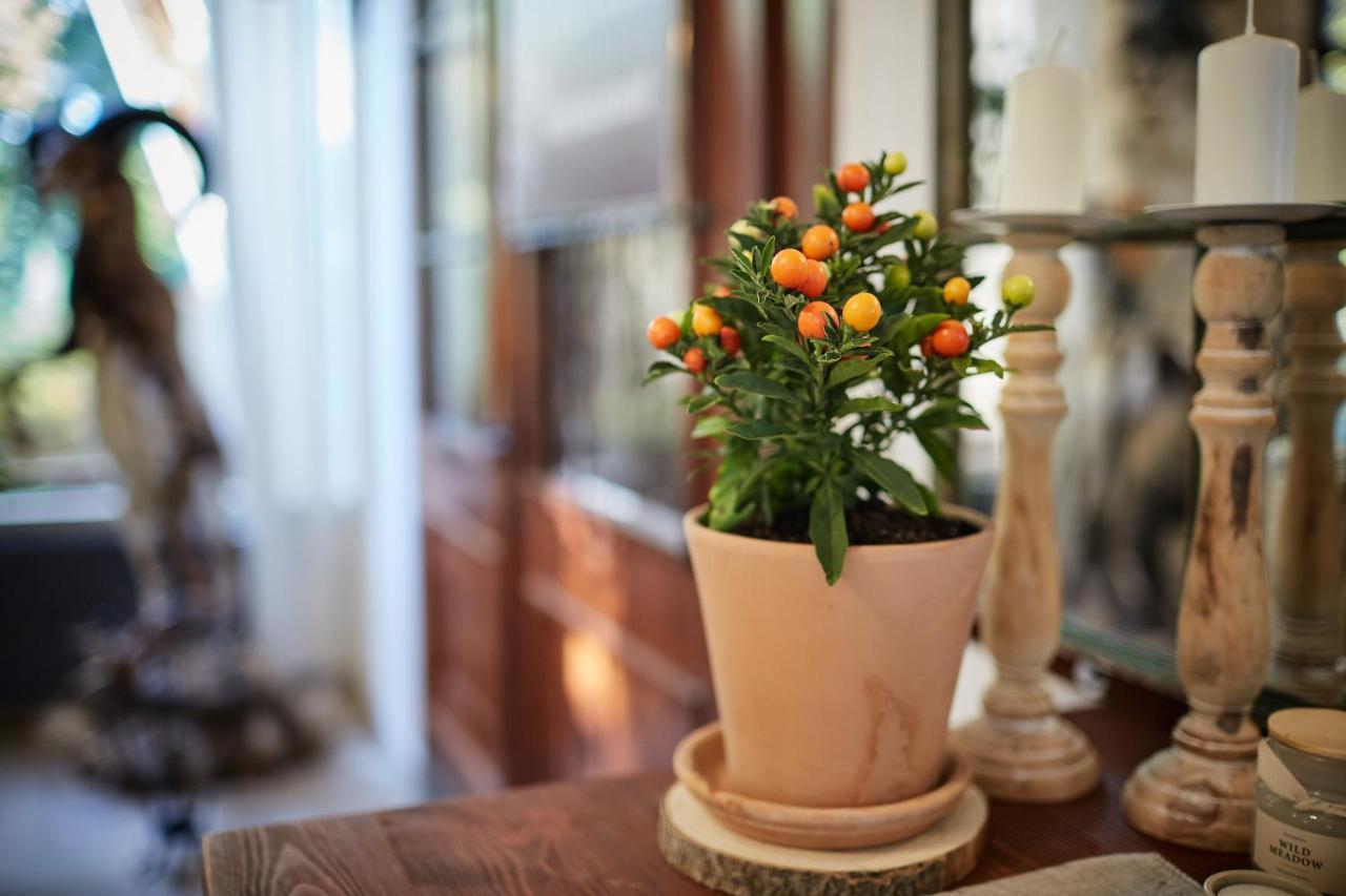 Tercia Hubertus Panzio Bed & Breakfast โชพรอน ภายนอก รูปภาพ