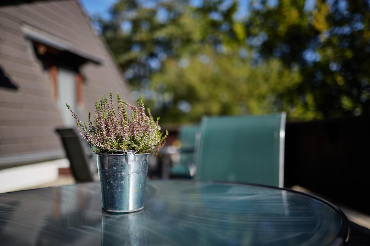 Tercia Hubertus Panzio Bed & Breakfast โชพรอน ภายนอก รูปภาพ